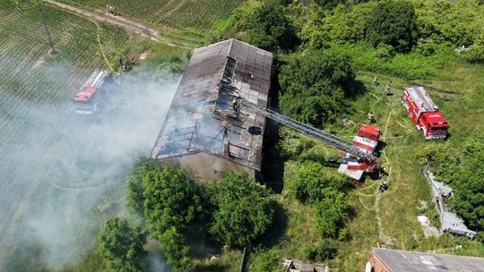 Pożar chlewni w Skórczu. Na miejscu pracuje dziewięć zastępów straży pożarnej