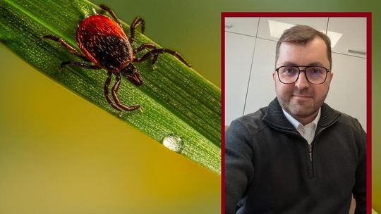Sezon na kleszcze bez paniki
