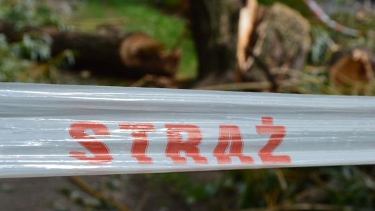 Silny wiatr nadciąga nad region. IMGW wydał ostrzeżenie