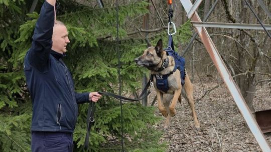 Starogardzki przewodnik i pies Nel na elitarnym szkoleniu TROPIK-9