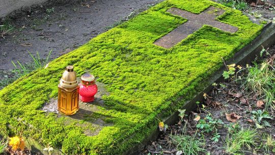 W ostatnim czasie odeszli od nas...