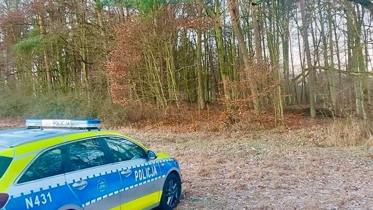 Wspólne działania policjantów i funkcjonariuszy Straży Leśnej