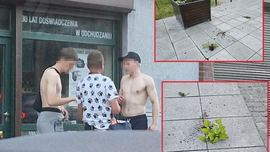 [FOTO] Wyrywał kwiaty, terroryzował ludzi i wchodził pod samochody! Mężczyzny nie udało się zatrzymać