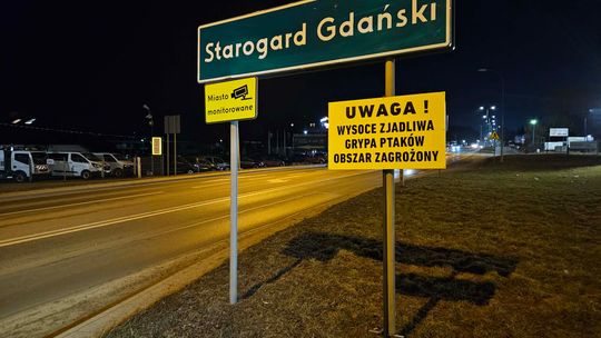 Wysoce zjadliwa grypa ptaków. Starogard w obszarze zagrożonym