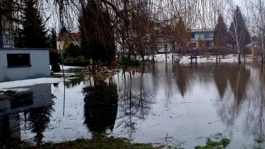 Zalana posesja w Kamionce. Interweniowały jednostki OSP