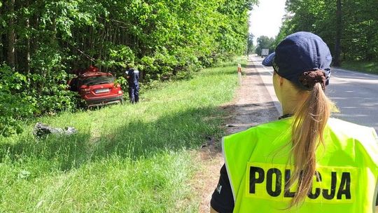 Zderzenie samochodu z łosiem na DK 22. Policjanci apelują o ostrożność