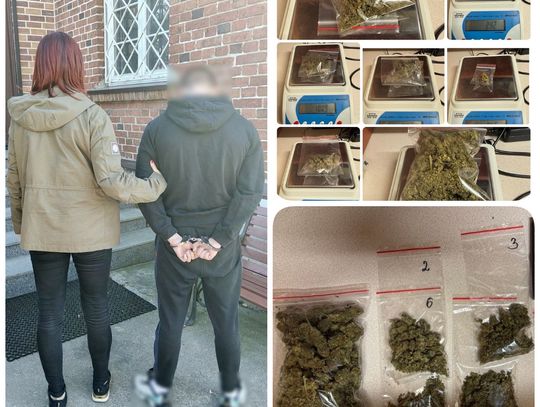 17-latek z marihuaną zatrzymany przez tczewskich wywiadowców – grozi mu nawet 10 lat więzienia