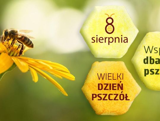 8 sierpnia 2025 r. - Ważny dzień w kalendarzu. Wielki Dzień Pszczół