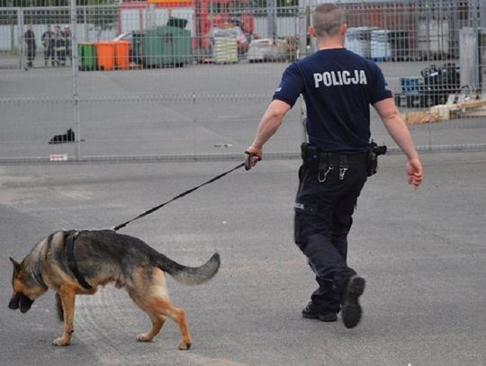 Alarmy bombowe w starogardzkich szkołach. Matury stanęły pod znakiem zapytania 