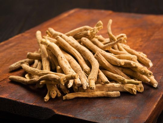 Ashwagandha - właściwości zdrowotne i suplementacja