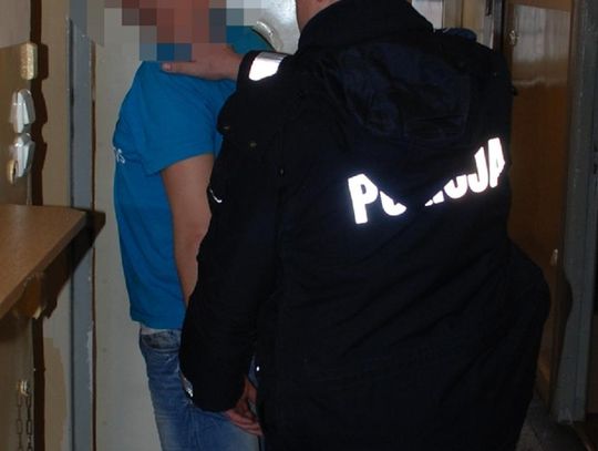 Awanturowali się i znieważali funkcjonariuszy. Policja zatrzymała czterech mężczyzn