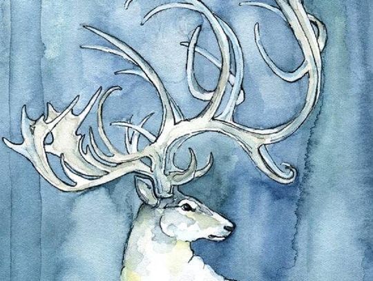 Baśnie Ludów Ziemi