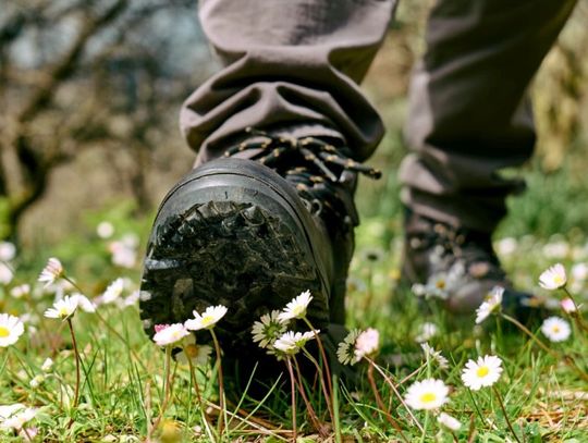 Buty górskie dla najbardziej wymagających