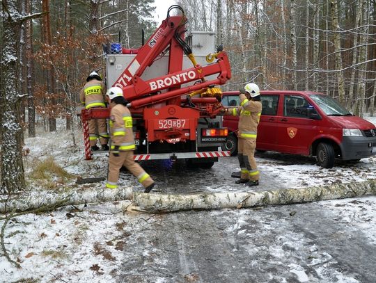 Ćwiczenia ZIMA 2017