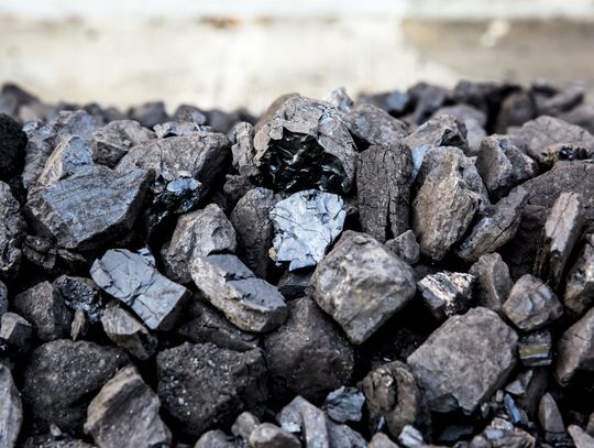 Czy ekogroszek i groszek są tym samym?