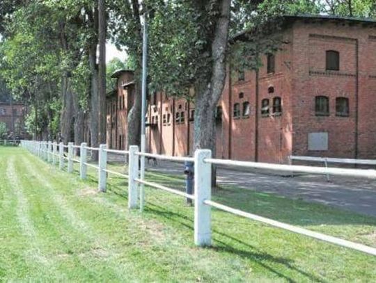 Czy znajdzie się chętny na Stado? 