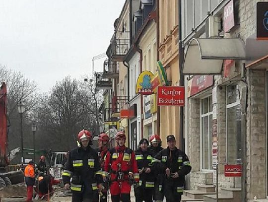 Drapieżny ptak uwięziony w centrum miasta. Na miejsce przybyła specjalna grupa strażaków z Gdyni 
