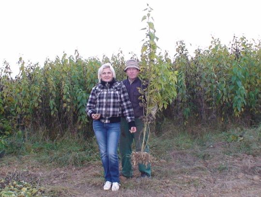 Ekologiczna perełka - cudze chwalicie, swego nie znacie