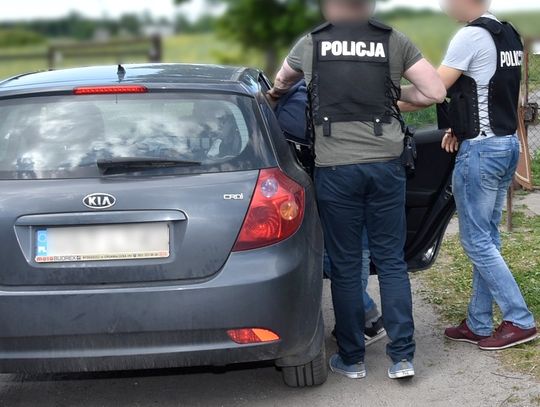 FOTO, FILM: Kryminalni zlikwidowali nielegalną uprawę konopi indyjskich. Rośliny schowane były w ukrytym pokoju 