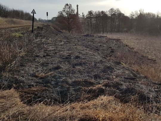 FOTO, FILM: Pożar na Piekiełkach. Trawa zapaliła się jednocześnie w kilku miejscach. Podpalenie? 