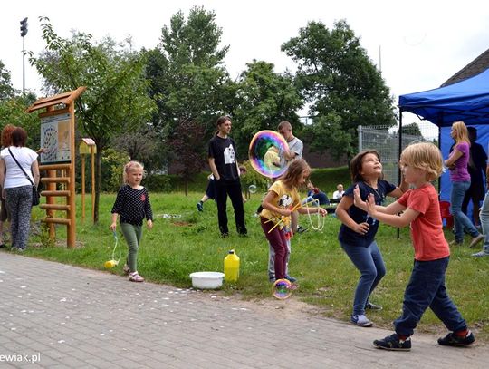 FOTO: Otwarto starogardzką Motylówkę. Sprawdź, gdzie ją znaleźć!