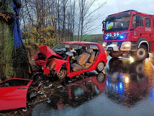 [FOTO] Poważny wypadek na drodze wojewódzkiej. 32-letni kierowca uderzył czołowo w drzewo