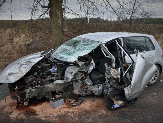  [FOTO] Samochód uderzył w drzewo! Jedna osoba ciężko ranna 