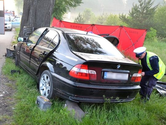 FOTO: Tragiczny wypadek na krajowej „22”. Kierowca chciał ominąć sarnę... Zginął 29-letni pasażer 