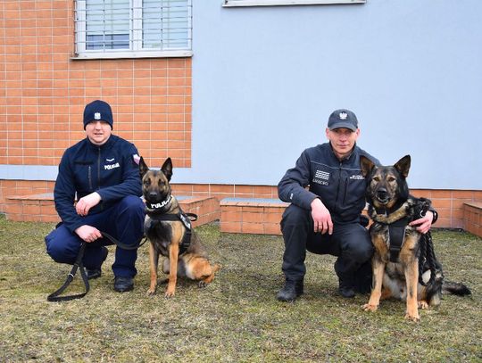 [FOTO] Wspólne szkolenie przewodników psów specjalnych