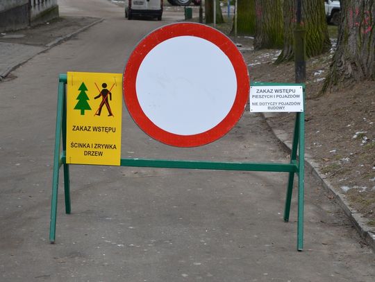 FOTO: Z parku miejskiego wkrótce zniknie 116 drzew! Wycinka już ruszyła