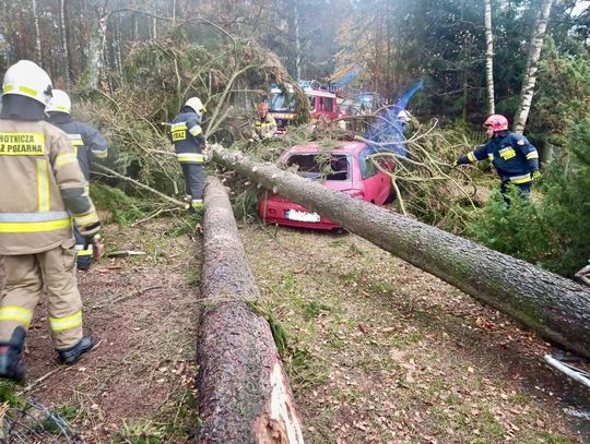 [FOTO] Zerwane dachy, połamane drzewa i zerwane linie energetyczne. Od wczoraj strażacy interweniowali 54 razy