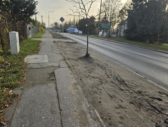 [FOTO] Zerwano trawę i co dalej...? ZDW tłumaczy, że to już efekt końcowy prac przy ulicy Gdańskiej