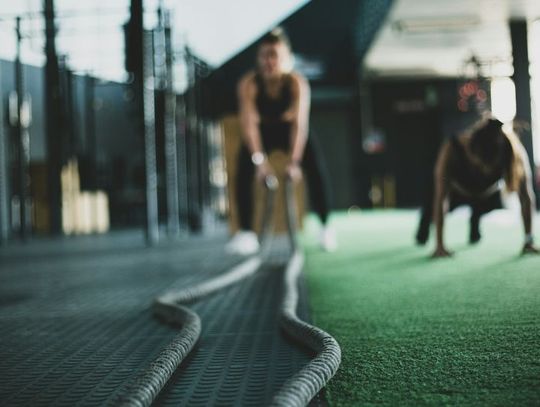 Franczyza dla fanów sportu