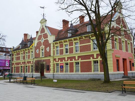 Gdzie jest cis?! Radny zauważył brak chronionego krzewu w pobliżu Ratusza