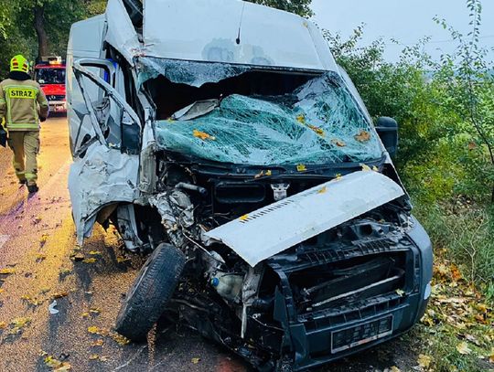 Groźny wypadek w Zblewie. Pojazd dostawczy uderzył w drzewo [FOTO]
