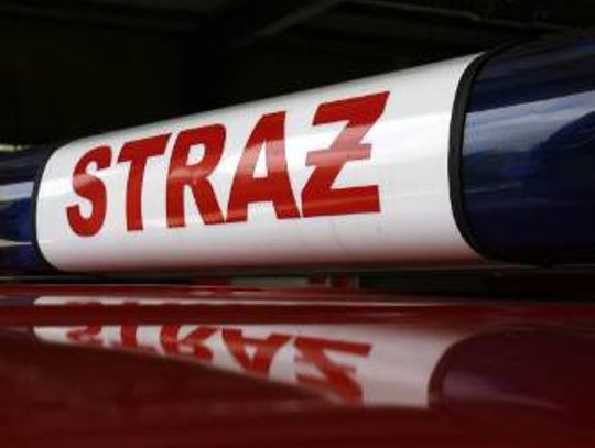 Heroiczna walka o dobytek. Pożar budynku mieszkalnego w Osieku 