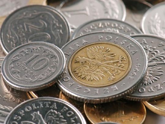 Ile oni zarabiają? Sprawdzamy oświadczenia włodarzy