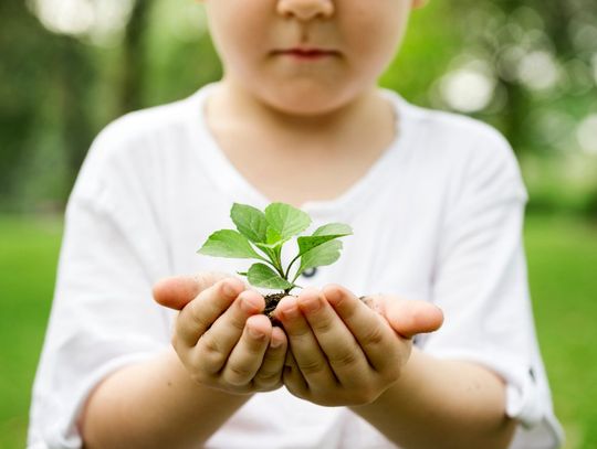 Jak dbać o środowisko wychowując dziecko?