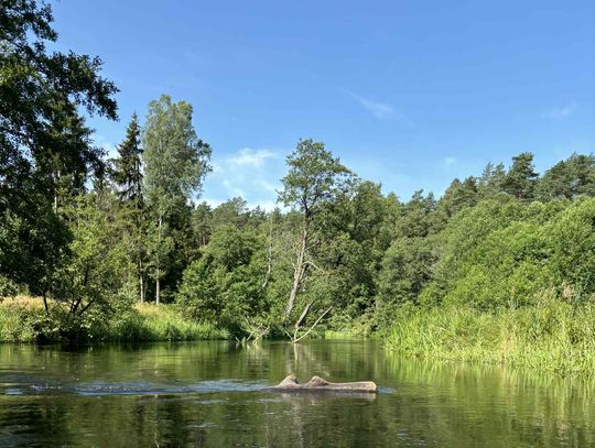 Jak spędzić wakacje niskim kosztem - 7 pomysłów dla rodzin z Kociewia i okolic