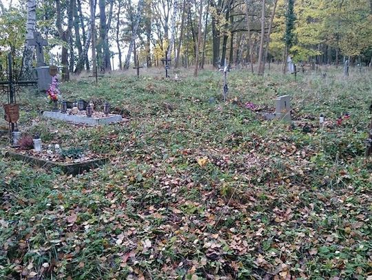 Już dziś wspólne sprzątanie zapomnianego cmentarza w Kocborowie! 