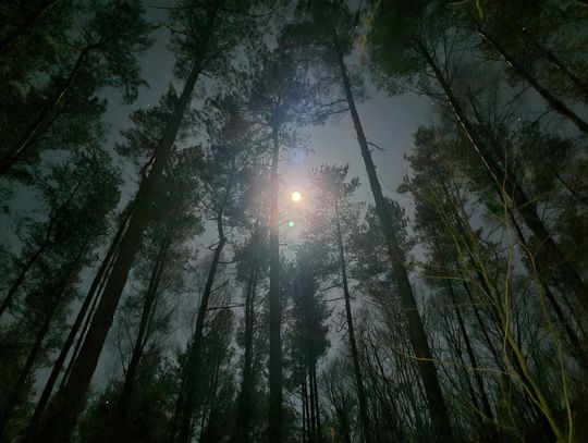 Już w weekend Nocny Rajd na Orientację Malo '25 Już w weekend Nocny Rajd na Orientację Malo '25