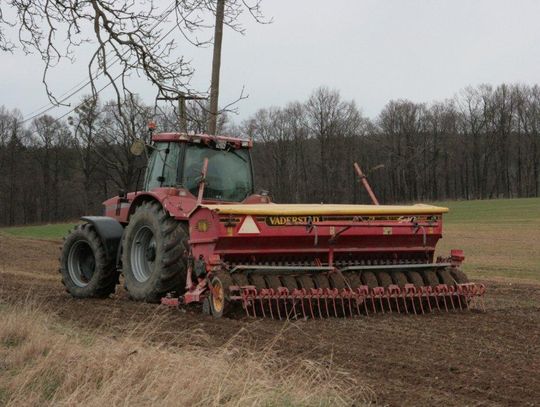 Klęska w rolnictwie. Zboża wymarzły, straty w uprawach