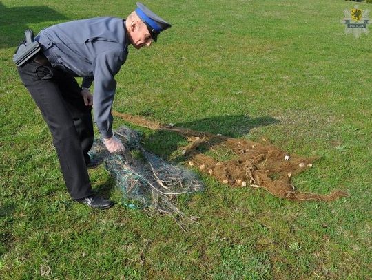 Kłusownik wpadł w sieci policji 