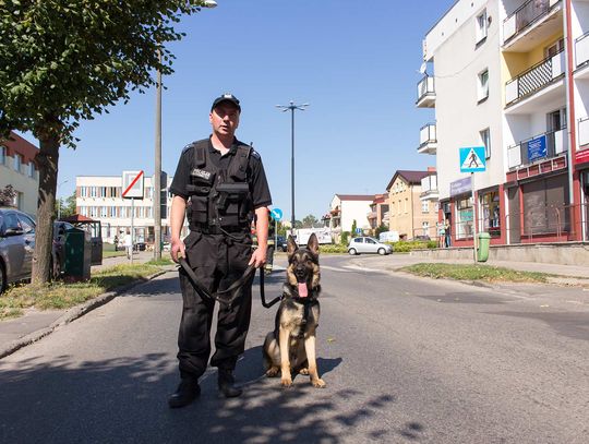 Kolejna BOMBA? Tym razem pod prokuraturą? FOTO