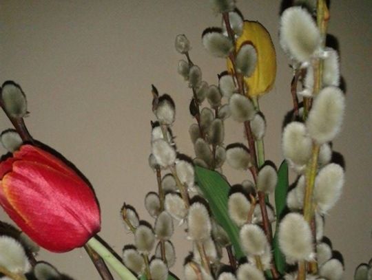 KONKURSY w OPP: Stacja drogi krzyżowej i pisanka wielkanocna