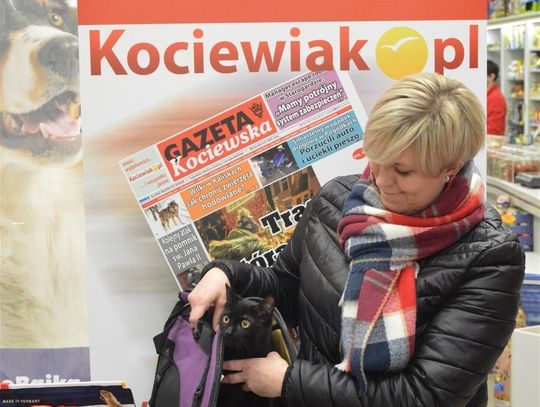 Kot Aliss – najsławniejszym zwierzakiem w powiecie