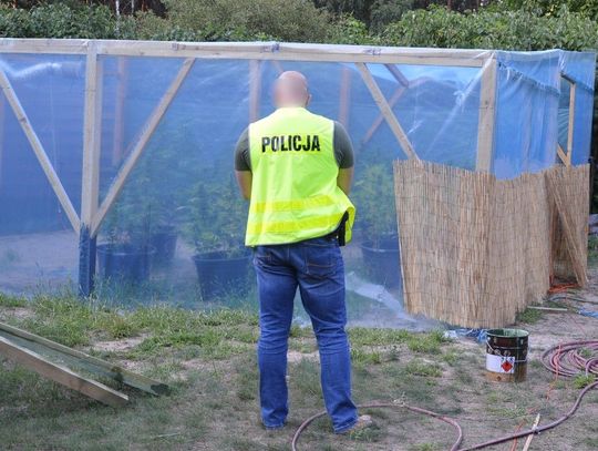 Kwitnie proceder narkotykowy w powiecie. W ręce policji coraz częściej trafiają nieletni 