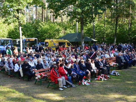 Las Szpęgawski - cichy świadek egzekucji. 77. rocznica Mordu w Lesie Szpęgawskim 