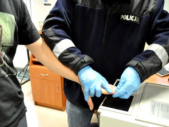 Marihuana na strychu - zlikwidowali nielegalną uprawę konopi indyjskich 