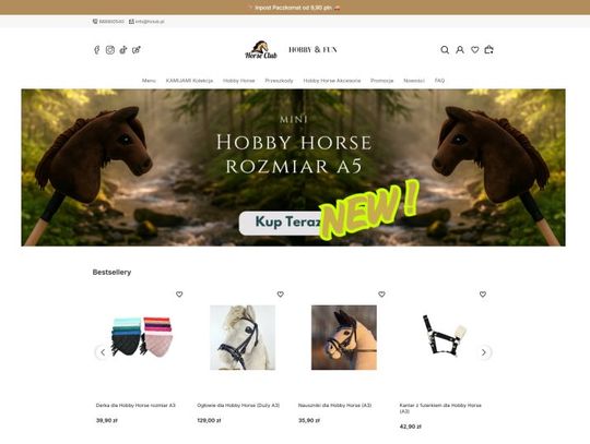 Najważniejsze akcesoria do hobby horse - co warto mieć w zestawie startowym?